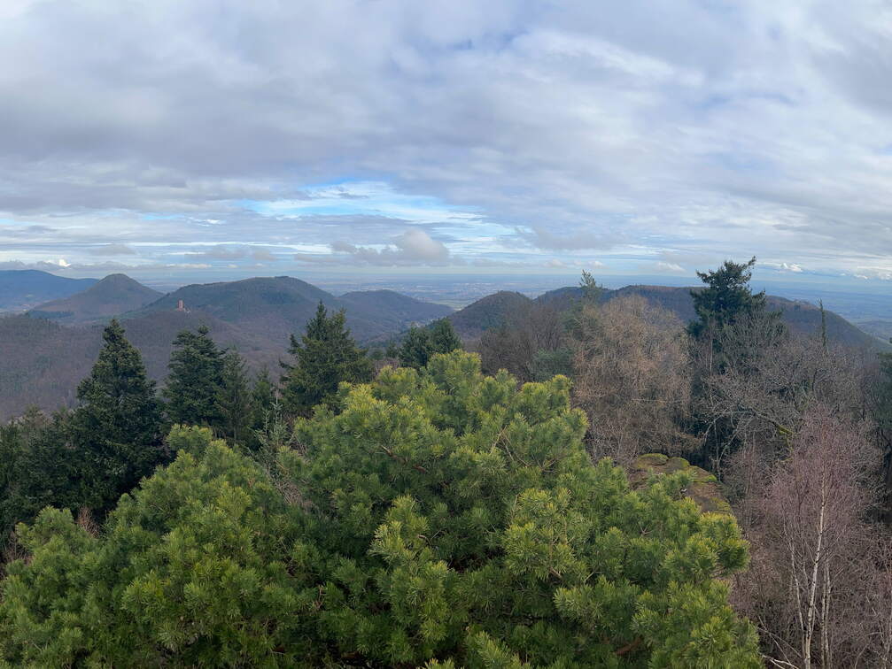 24-02-26 13-36-18 8705